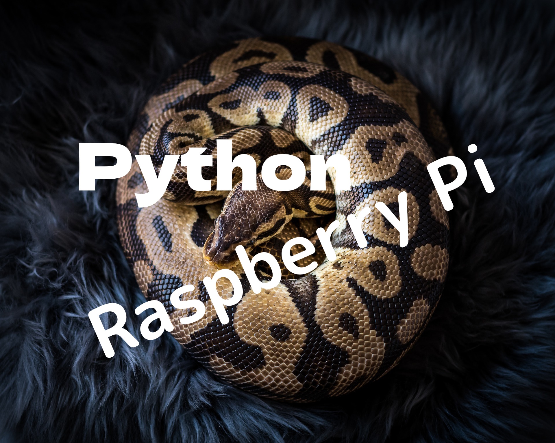 Raspberry PiとPython