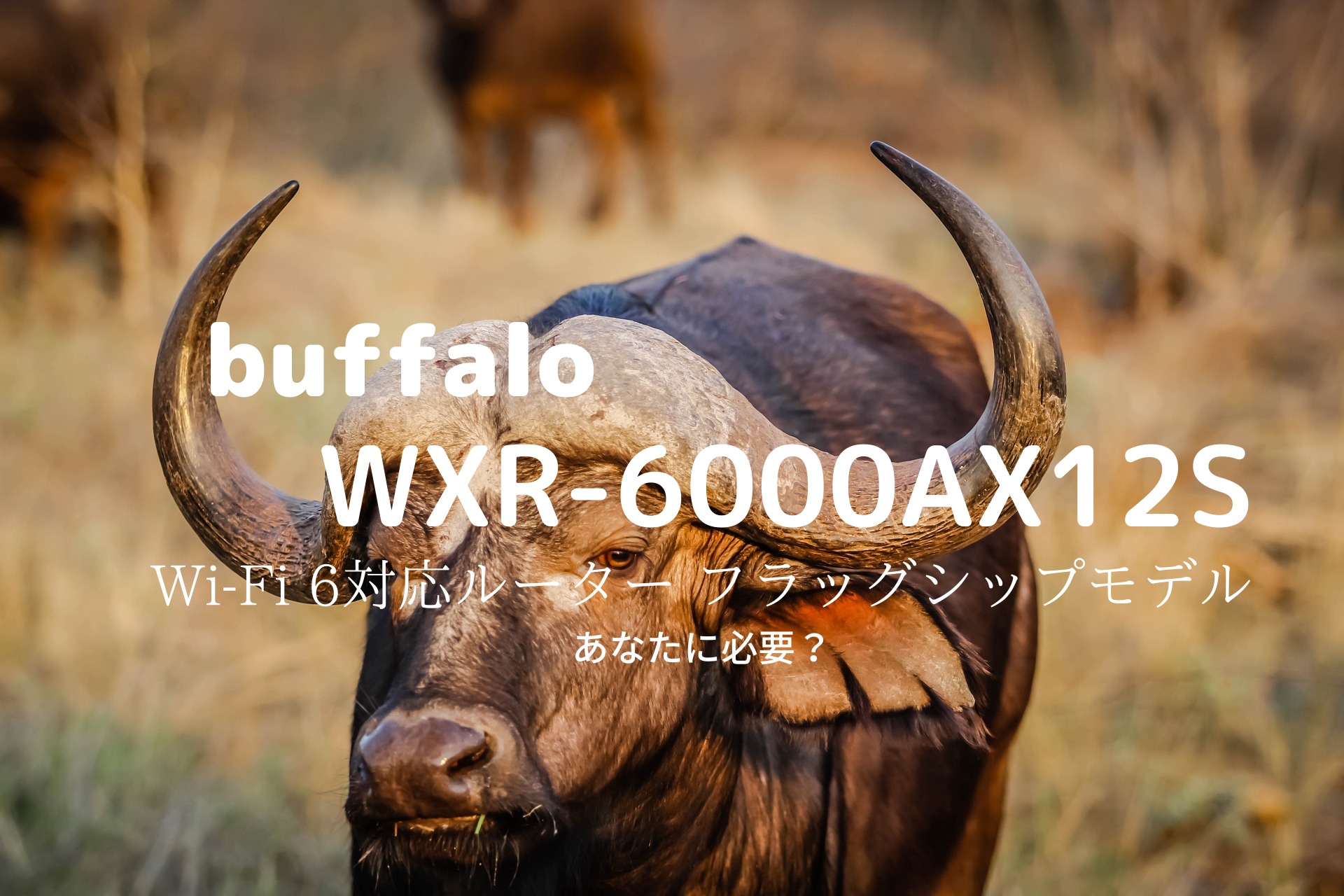WXR-6000AX12S